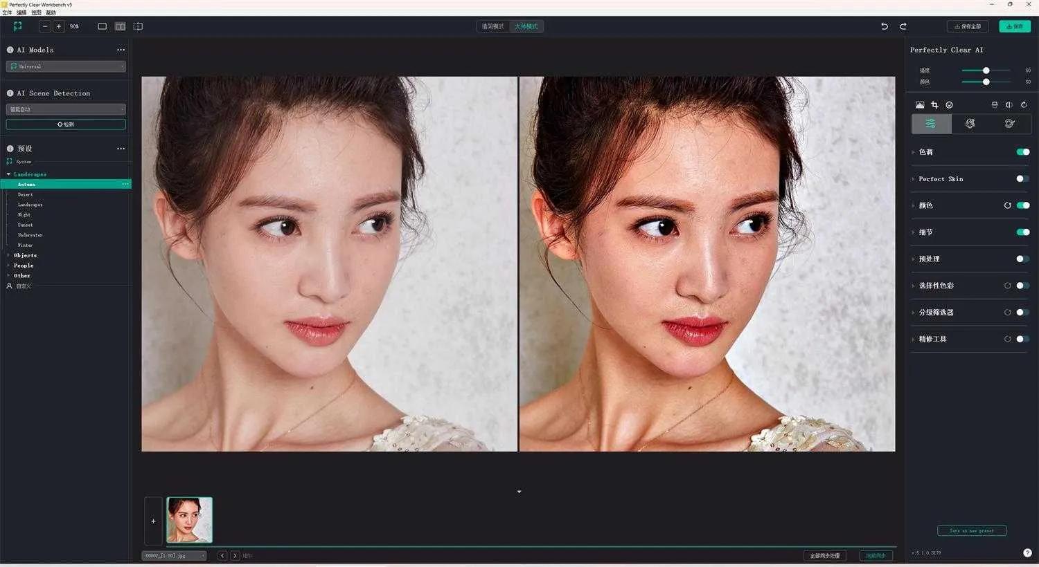 Perfectly Clear WorkBench - AI一键智能照片自动校正神器